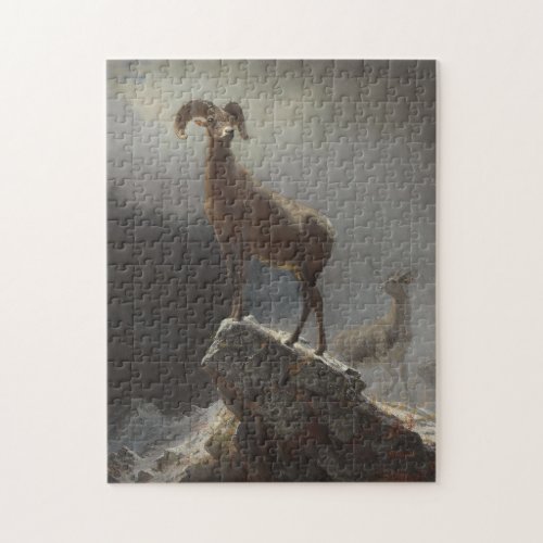 Rocky Mountain Sheep or Big Horn Ovis Montana c Jigsaw Puzzle