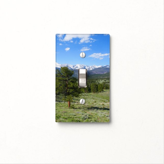 Rocky Mountain View Light Switch Cover (In Situ)