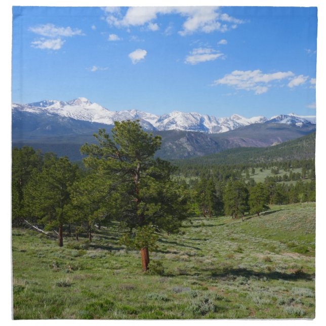Rocky Mountain View Scenic Landscape Cloth Napkin (Front)