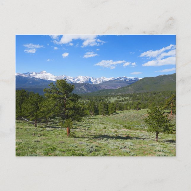Rocky Mountain View Scenic Landscape Postcard (Front)