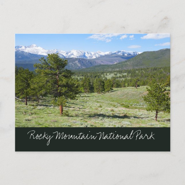 Rocky Mountain View Scenic Landscape Postcard (Front)