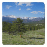 Rocky Mountain View Scenic Landscape Trivet