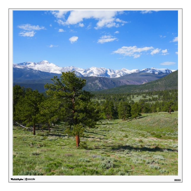 Rocky Mountain View Wall Decal (Front)