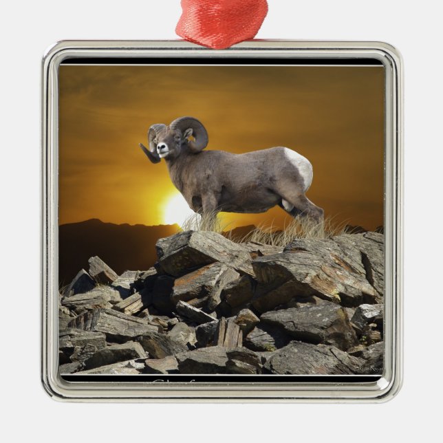 Rocky Mountain Wild Big Horn Sheep & Sunset Metal Ornament (Front)