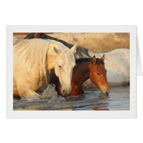 Rocky Mountain Wild Horse and her baby Note Card