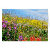 Rocky Mountain Wildflowers (Front Horizontal)