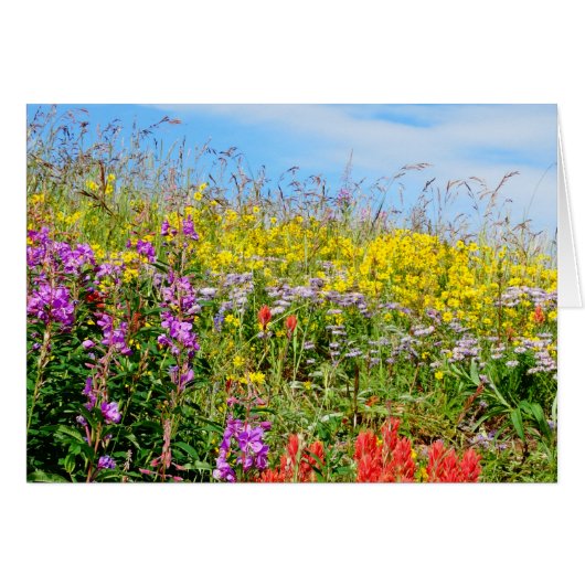 Rocky Mountain Wildflowers (Front Horizontal)