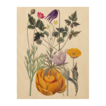 Rocky Mountain Wildflowers Botanical Wood Wall Art