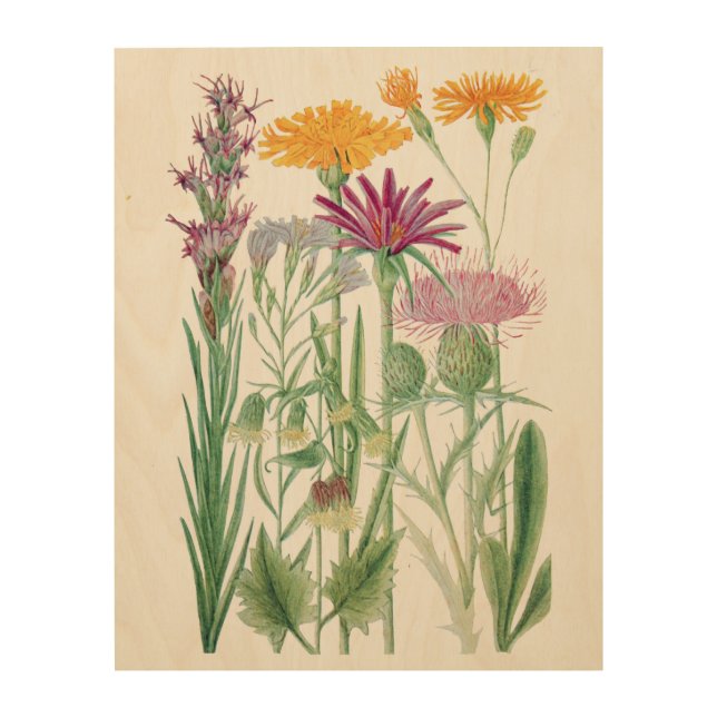 Rocky Mountain Wildflowers Botanical Wood Wall Art (Front)