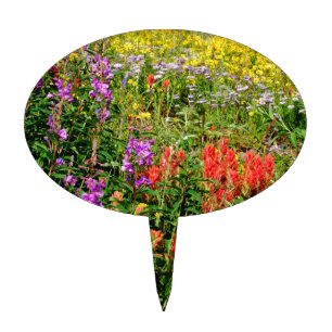 Rocky Mountain Wildflowers Cake Topper
