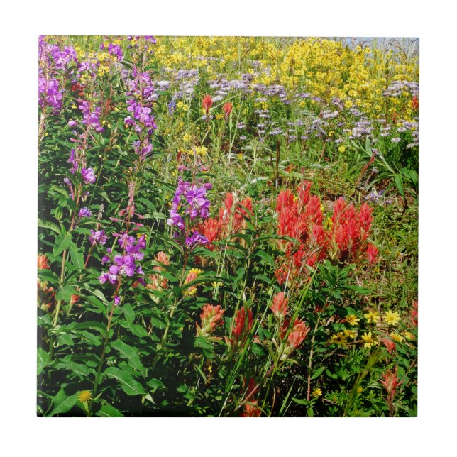 Rocky Mountain Wildflowers Ceramic Tile (Front)