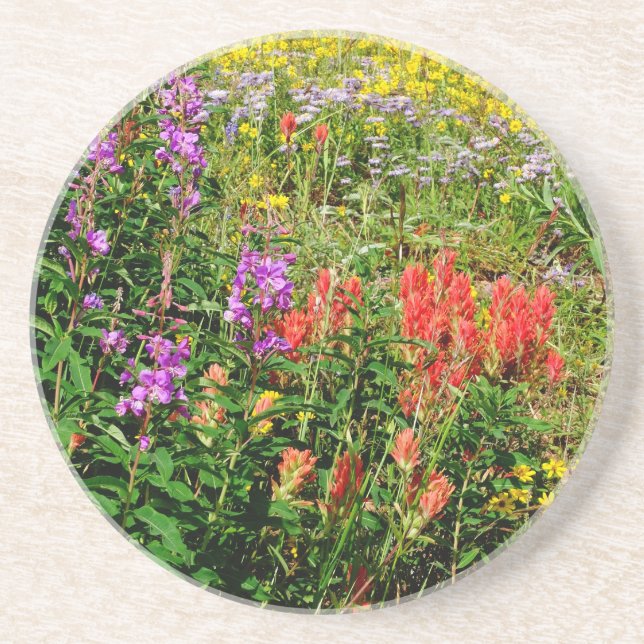 Rocky Mountain Wildflowers Coaster (Front)