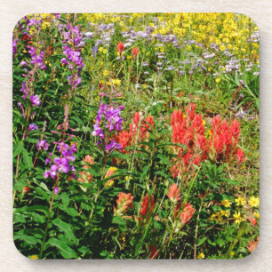 Rocky Mountain Wildflowers Drink Coaster