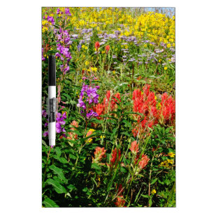 Rocky Mountain Wildflowers Dry-Erase Board