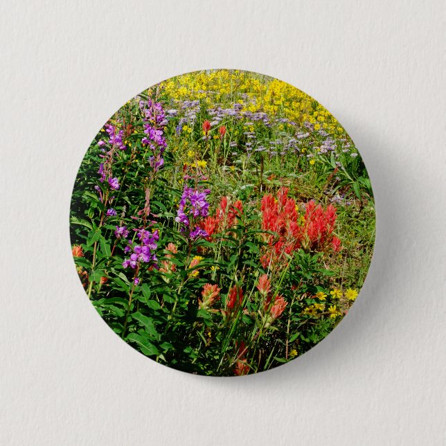 Rocky Mountain Wildflowers Pinback Button (Front)