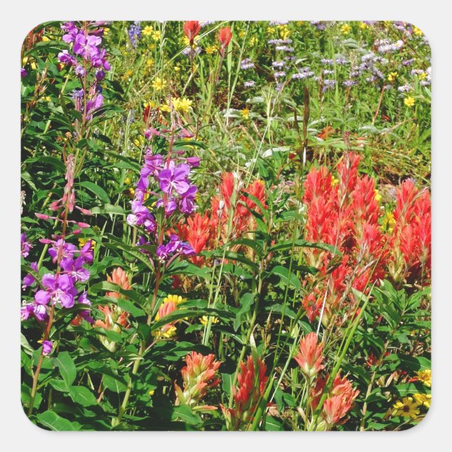 Rocky Mountain Wildflowers Square Sticker (Front)