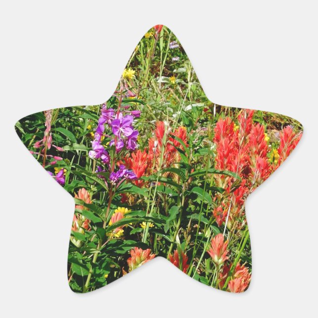 Rocky Mountain Wildflowers Star Sticker (Front)