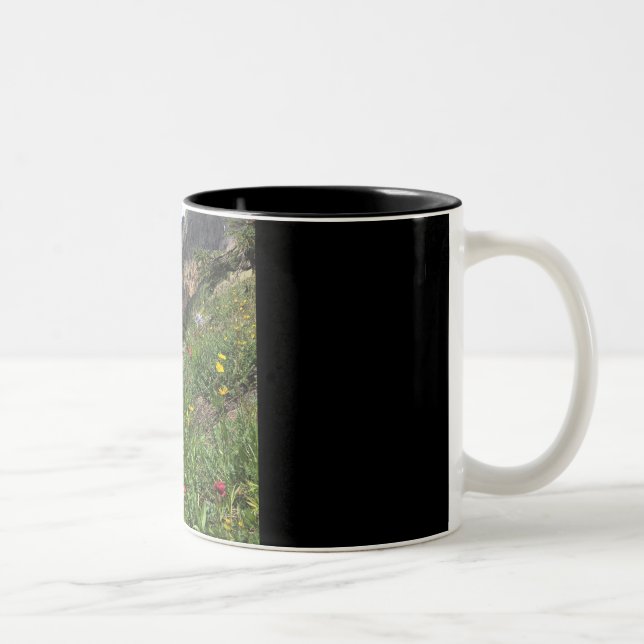 Rocky Mountain Wildflowers Two-Tone Coffee Mug (Right)