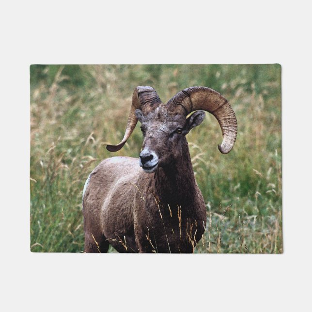 Rocky Mountains Bighorn Sheep Doormat (Front)