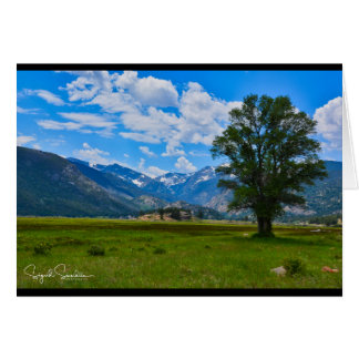 Rocky Mountains Cards