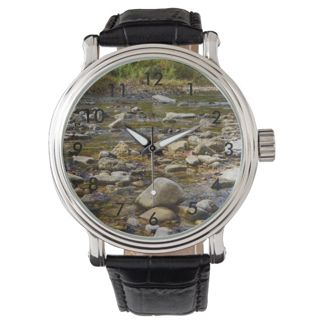 Rocky Path Watch (Front)