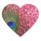 Rocky Pink Peacock Feather