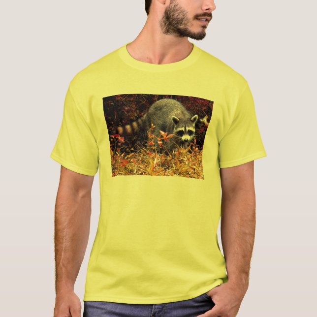 ROCKY RACCOON T-Shirt (Front)