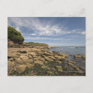 Rocky Seaside With Motorboat Traveling Postcard