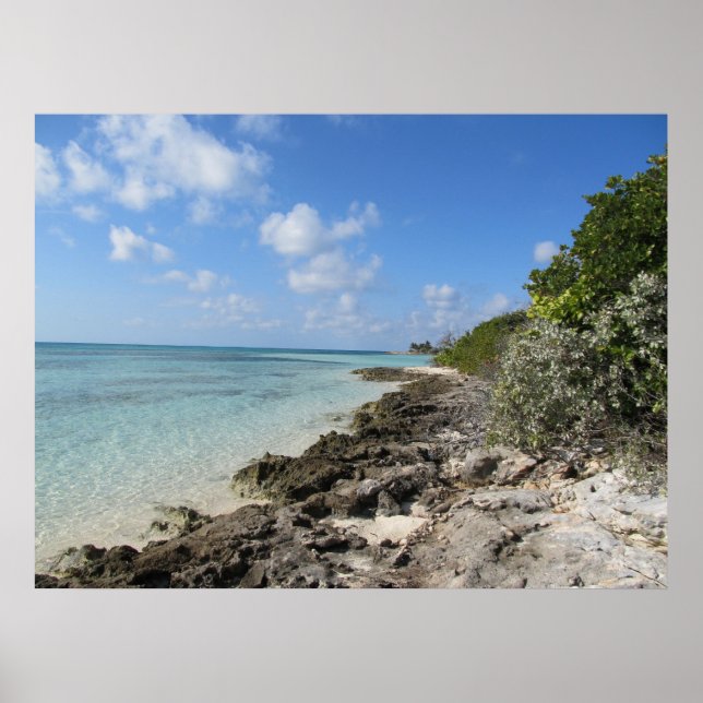 Rocky Shore - Coco Cay Poster (Front)