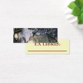 Rocky Stream Bookmark (Desk)