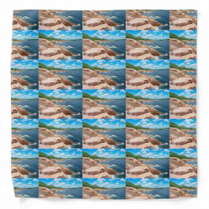 Rocky Summer Seascape Acadia National Park Maine Bandana