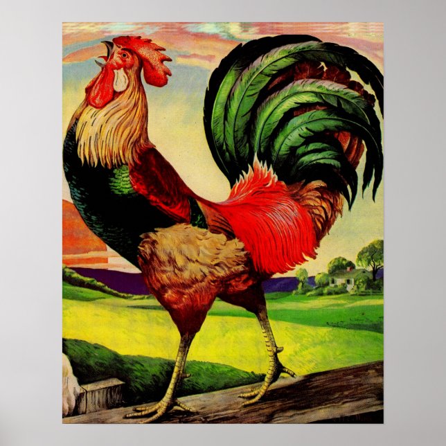 Rocky the Handsome Rooster Poster (Front)