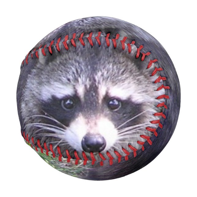 Rocky the Raccoon Baseball (Front Right)