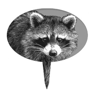 Rocky the Raccoon Cake Topper