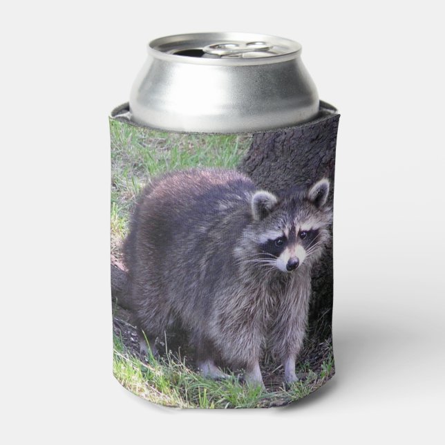 Rocky the Raccoon Can Cooler (Can Front)