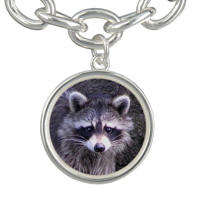 Rocky the Raccoon Charm Bracelet (Design)