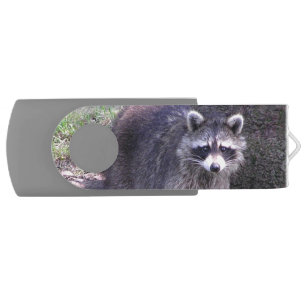 Rocky the Raccoon Flash Drive
