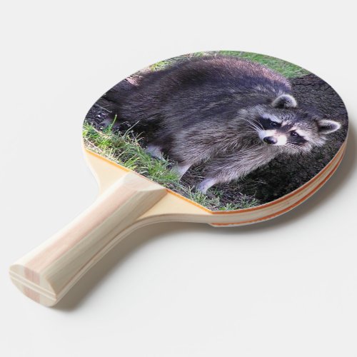 Rocky the Raccoon Ping Pong Paddle