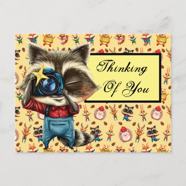 Rocky The Raccoon Postcard (Front)