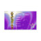 ROD ASCLEPIUS,7 CHAKRAS,YOGA INSTRUCTOR Purple