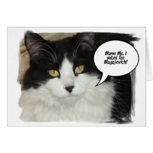 Rod Blagojevich Humor Cards