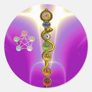 ROD OF ASCLEPIUS 7 CHAKRAS,YOGA ,SPIRITUAL ENERGY CLASSIC ROUND STICKER