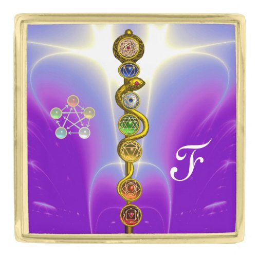 ROD OF ASCLEPIUS 7 CHAKRASYOGA SPIRITUAL ENERGY GOLD FINISH LAPEL PIN