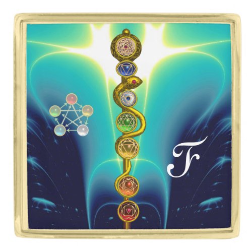 ROD OF ASCLEPIUS 7 CHAKRASYOGA SPIRITUAL ENERGY GOLD FINISH LAPEL PIN