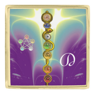 ROD OF ASCLEPIUS 7 CHAKRAS,YOGA ,SPIRITUAL ENERGY GOLD FINISH LAPEL PIN
