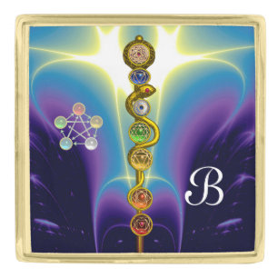 ROD OF ASCLEPIUS 7 CHAKRAS,YOGA ,SPIRITUAL ENERGY GOLD FINISH LAPEL PIN