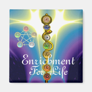 ROD OF ASCLEPIUS 7 CHAKRAS,YOGA ,SPIRITUAL ENERGY MAGNET