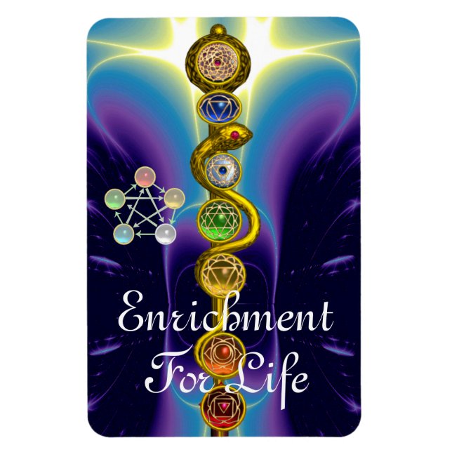 ROD OF ASCLEPIUS 7 CHAKRAS,YOGA ,SPIRITUAL ENERGY MAGNET (Vertical)