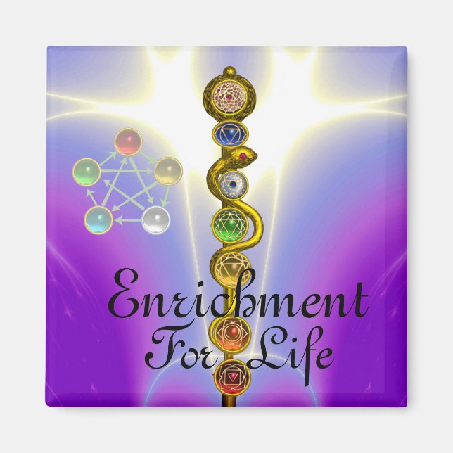 ROD OF ASCLEPIUS 7 CHAKRAS,YOGA ,SPIRITUAL ENERGY MAGNET (Front)