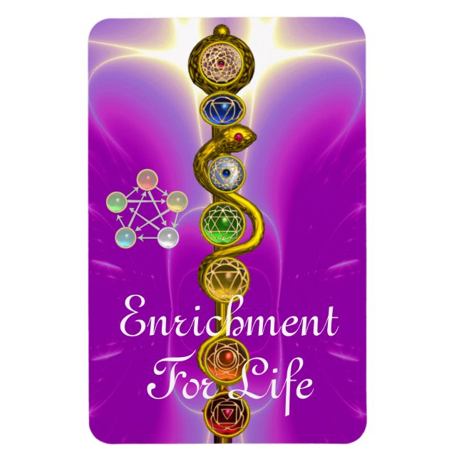 ROD OF ASCLEPIUS 7 CHAKRAS,YOGA ,SPIRITUAL ENERGY MAGNET (Vertical)